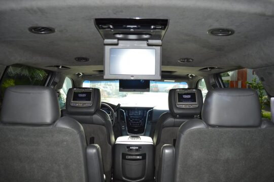 Arrival Luxury Transportation: Punta Cana International Airport to Hotels (1-5)