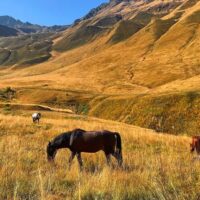 Eco Tours