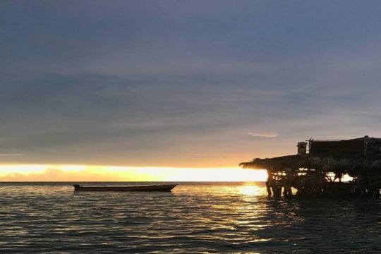 Ys Falls, Floyd’s Pelican Bar, Black River Safari