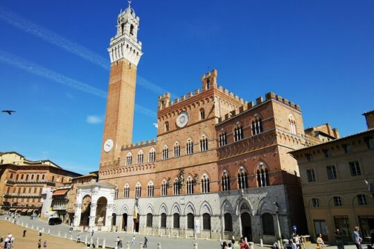Private day trip to San Giminiano and Pisa with lunch
