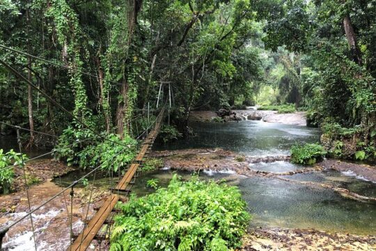 Bridges of Eden with Yumi Tours