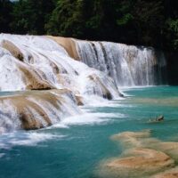 Full-day Tours