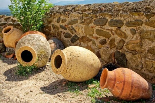 Kakheti Wine Tour for beginners - 3 wineries
