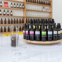 Classes & Workshops