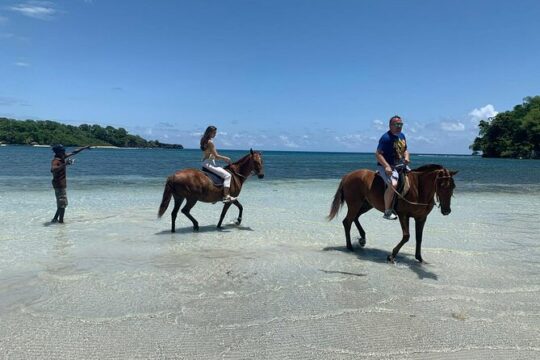 Horse Back Riding and Boston Jerk Centre Tour in Portland Jamaica