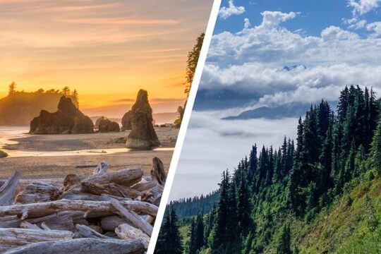 6-Day Backpacking Summer Camp Adventure in Olympic National Park