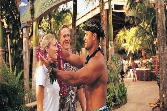 Pearl Harbor, Dole Plantation, and Polynesian Center from Maui