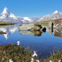Multi-day & Extended Tours