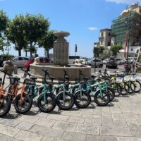 Bike Rentals