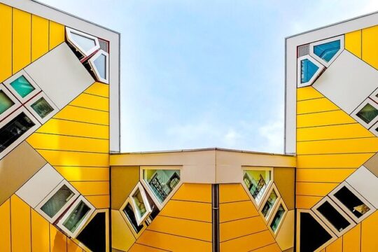 Rotterdam 2-Hour Guided Walking Tour