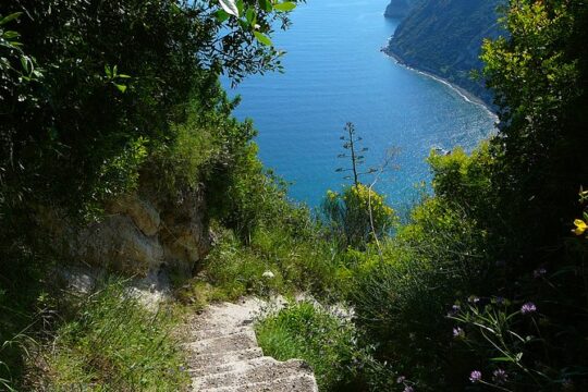 Half-day east coast hike in Ischia island with pick-up
