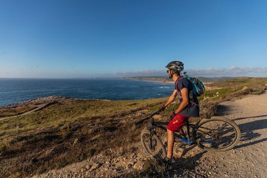 Mountain Bikes Standard Rental