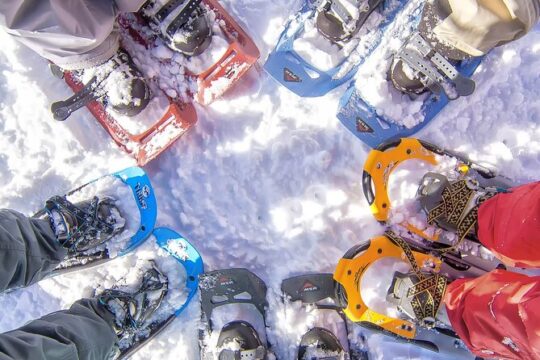 Snowshoeing in Chamonix, with a private guide