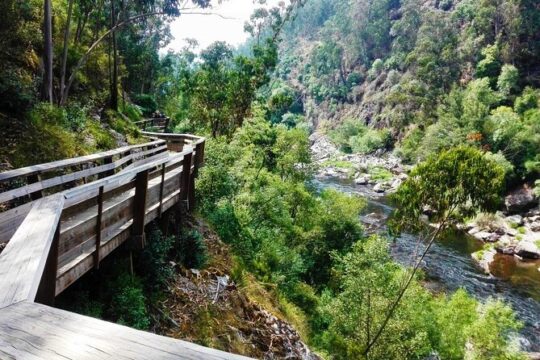 Walkways of the Paiva River and 516 Arouca bridge Walking