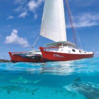 Honeymoon Packages