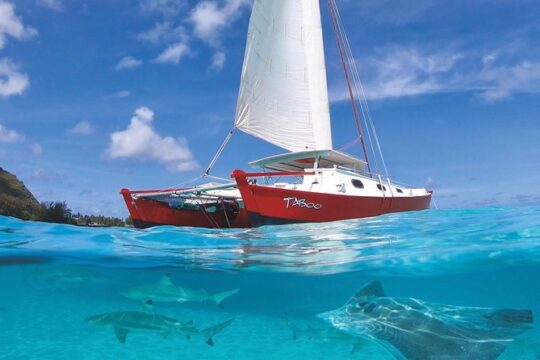 Half Day Tour : Moorea Snorkeling & Sailing on a Catamaran named Taboo
