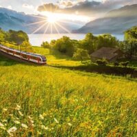 Shore Excursions