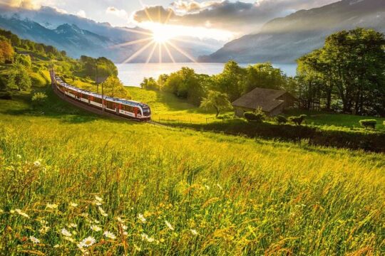 Exclusive Panoramic Train Journey though the Heart of Swiss