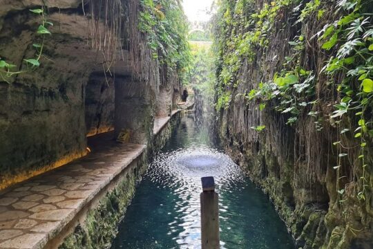 Private Tour of Uxmal and Cenote Hacienda Mucuyche 2 cenotes