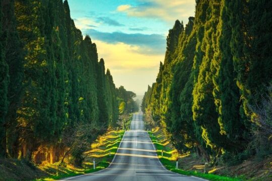 Super Tuscan Wine Tour to Bolgheri