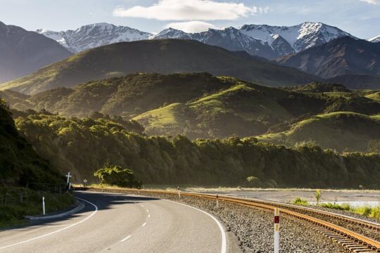 2 Day Kaikoura Whale and Dolphin Tour from Christchurch