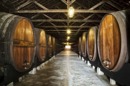 Full-Day Private Tour in Arrábida with Winery Tour from Lisbon