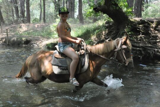 Marmaris Horse Half-Day Guided Safari
