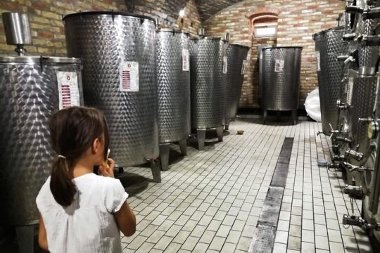 Novi Sad Saturday Full day trip