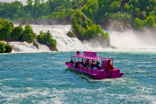 Rhine Falls Sightseeing Tour of Zurich