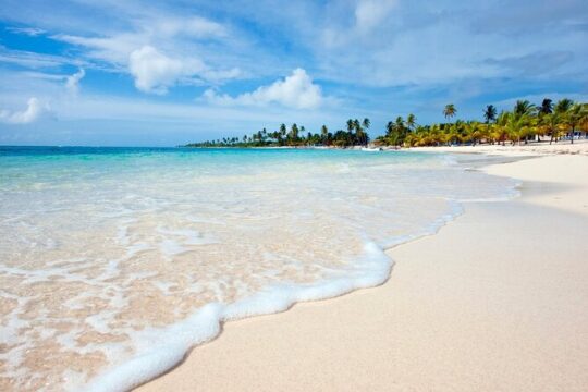 Full-Day Private Yacht Cruise in Saona Island with Lunch
