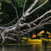 Kayaking & Canoeing