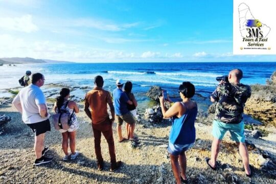 Full Day Private Customized Island Tours