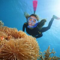 Day Trips & Excursions