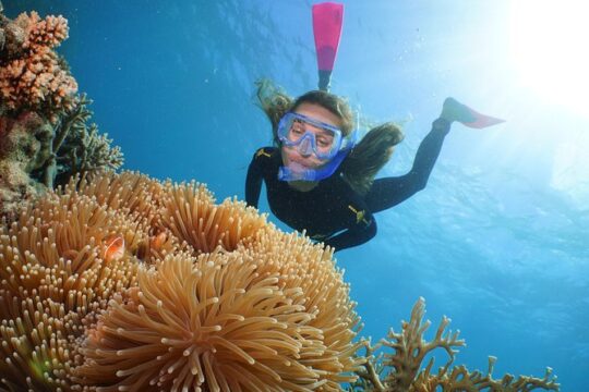 Quicksilver Outer Great Barrier Reef Snorkel Cruise from Palm Cove