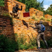 Tours & Sightseeing