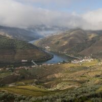 Day Trips & Excursions