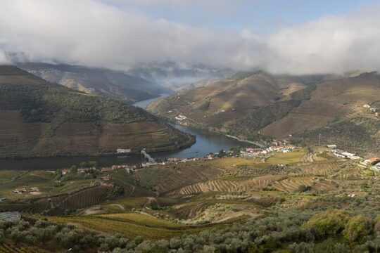 Douro Valley Private Hike&Picnic
