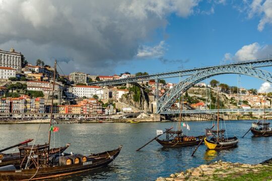 Full-day private sightseeing tour in Porto from Lisbon