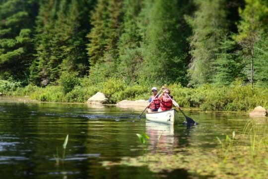 4-Day Canadian Camping Road Trip ("Moose On The Loose")