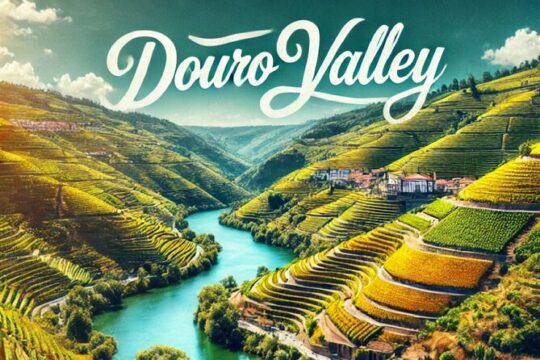 1 Day Tour to Douro Valley from Porto