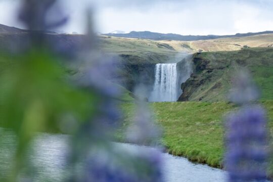 South Coast Adventure Private Tour