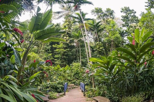 Private Transfer to Konoko Falls Botanical Gardens