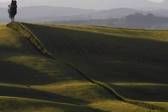 Bike Ride immersion val d'Orcia