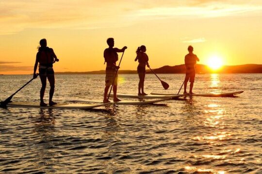 Paddle Board Rental in Batumi
