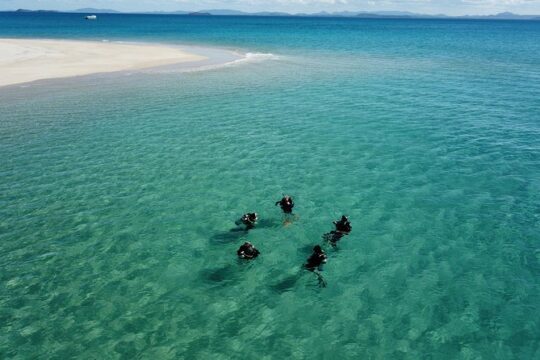 Great Keppel Island PADI Discover Scuba Dive with Keppel Dive