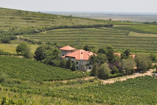 Private Romanian Wine Tasting in Urlați