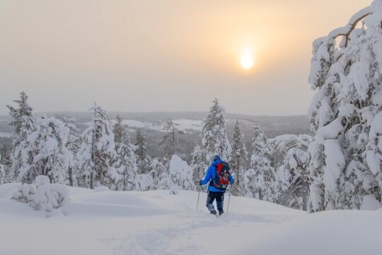 4-Day Small-Group Snowshoe Trek from Rovaniemi