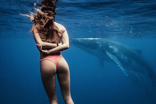 Private Half Day Whale Watching Tour