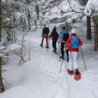 Multi-day & Extended Tours