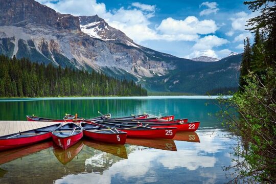 6-Day Rocky Mountains Wapiti Tour from Banff finish Vancouver